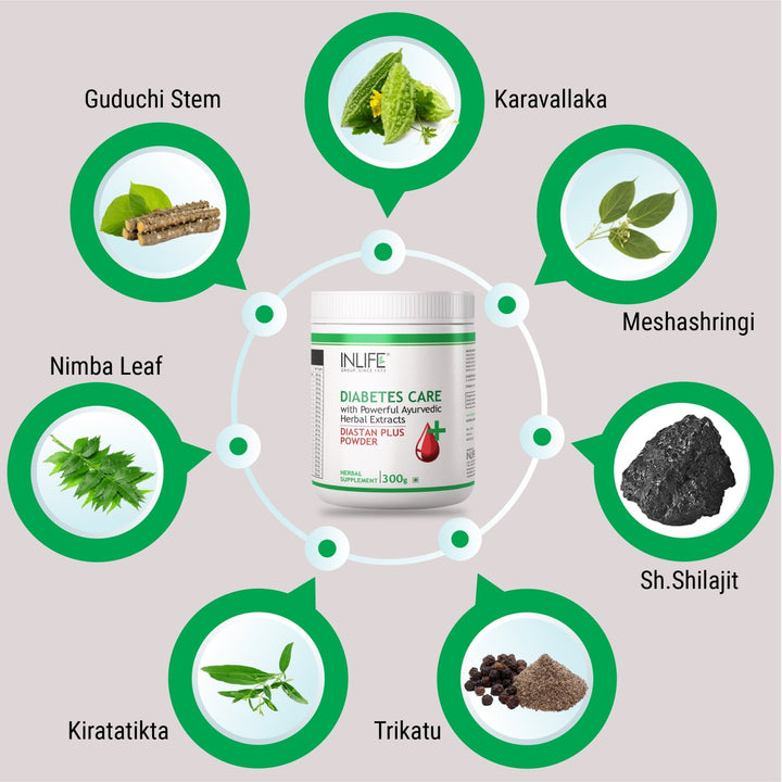 INLIFE Diastan Plus Powder Diabetes Care Ayurvedic Herbal Supplement, 300 grams - INLIFE Healthcare (International)