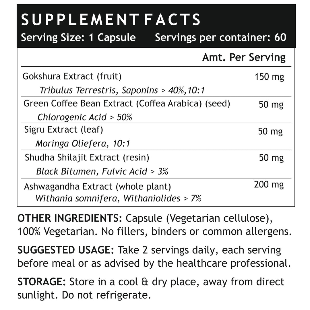 INLIFE Energy Booster Supplement with Ayurvedic Herbs - INLIFE Healthcare (International)