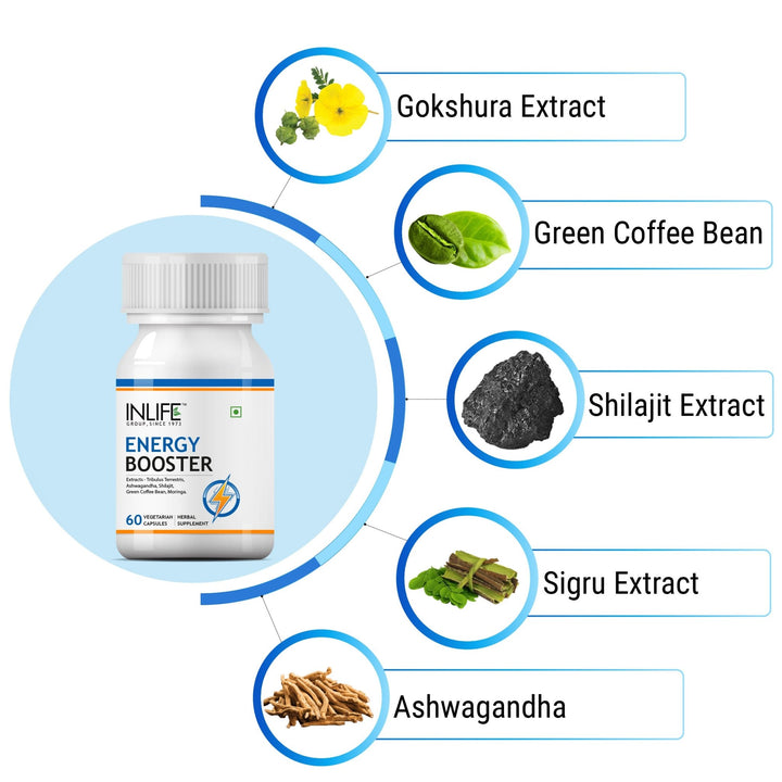 INLIFE Energy Booster Supplement with Ayurvedic Herbs - INLIFE Healthcare (International)