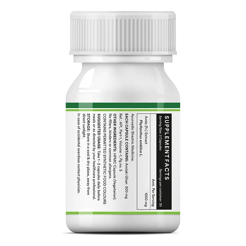 INLIFE Natural Vitamin C Amla Extract Supplement | Immunity, Overall Wellness for Men and Women