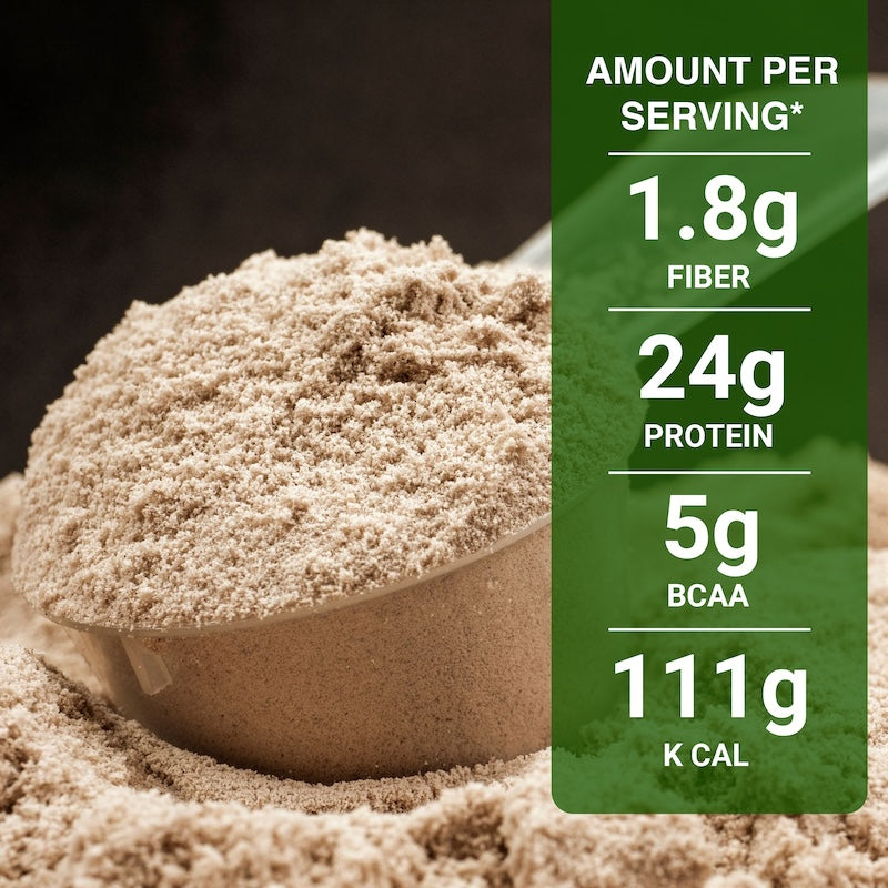 INLIFE Vegan Plant Protein 24g Protein (Pea & Brown Rice) Supplement