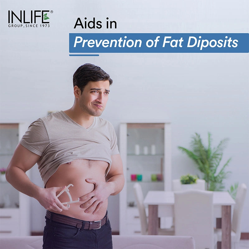 INLIFE Livstan Liver Support Supplement, Whey Protein Powder with Ayurvedic Herbs - 300 grams (Vanilla)