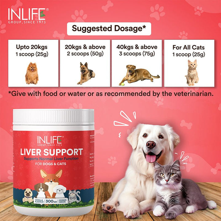 Liver Detox Supplement for Dogs Cats Pets | Liver Support Powder with Whey Protein, MCT, L - Carnitine, L - Taurine & BCAAs, 300g (Vanilla) - INLIFE Healthcare (International)