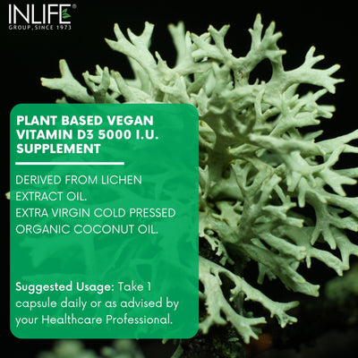 INLIFE Plant Based Vegan Vitamin D3 from Lichen 5000 IU